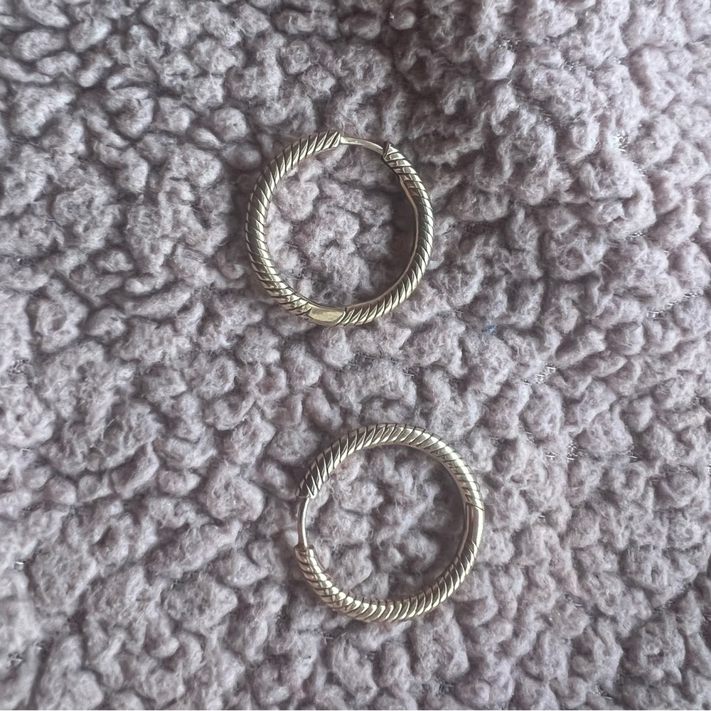 Pandora Rose Gold Charm Hoop Earrings